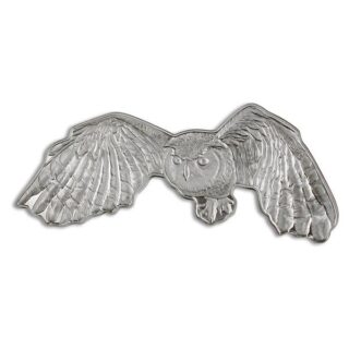 Pamp hunters of the sky - Hawk Coin 1 oz silver